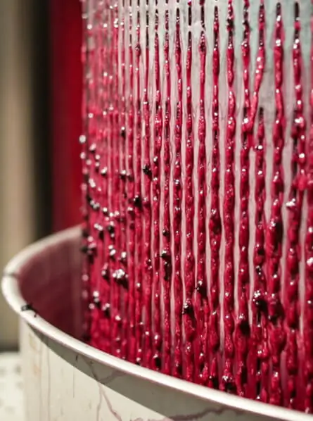 Grapes getting pressed