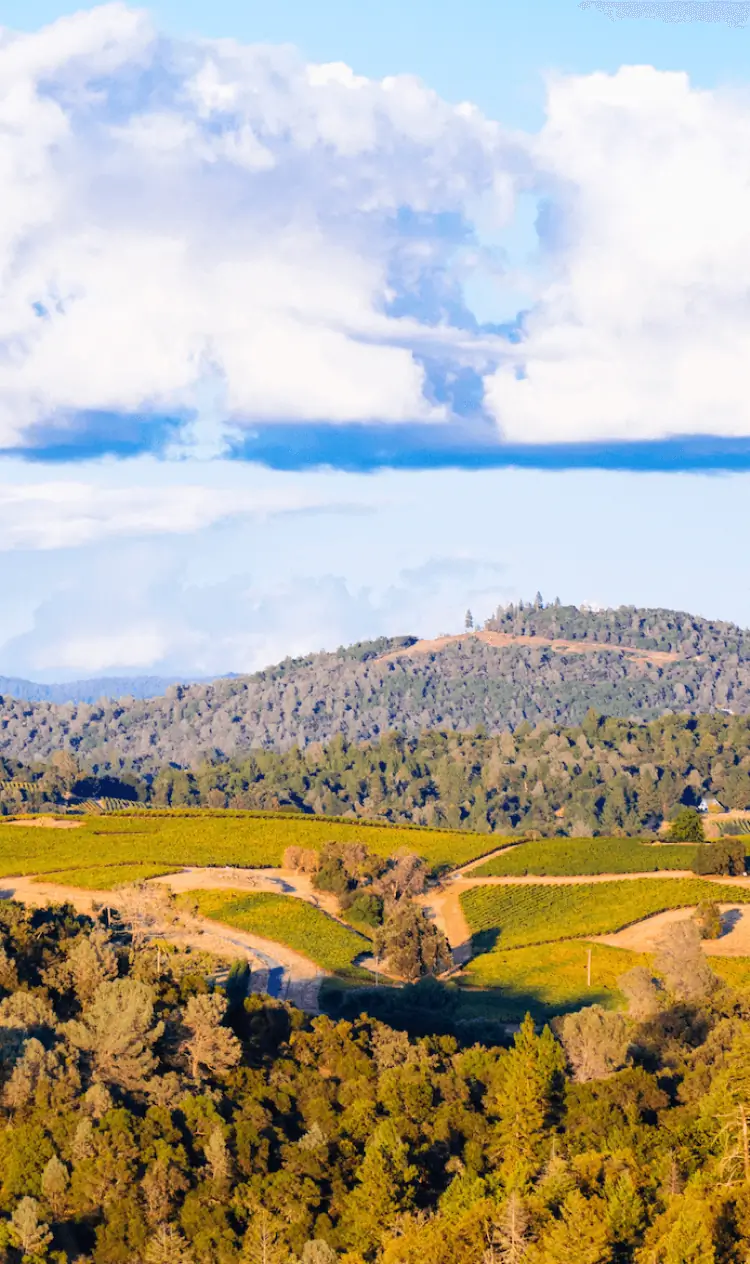 Image of the Foothills