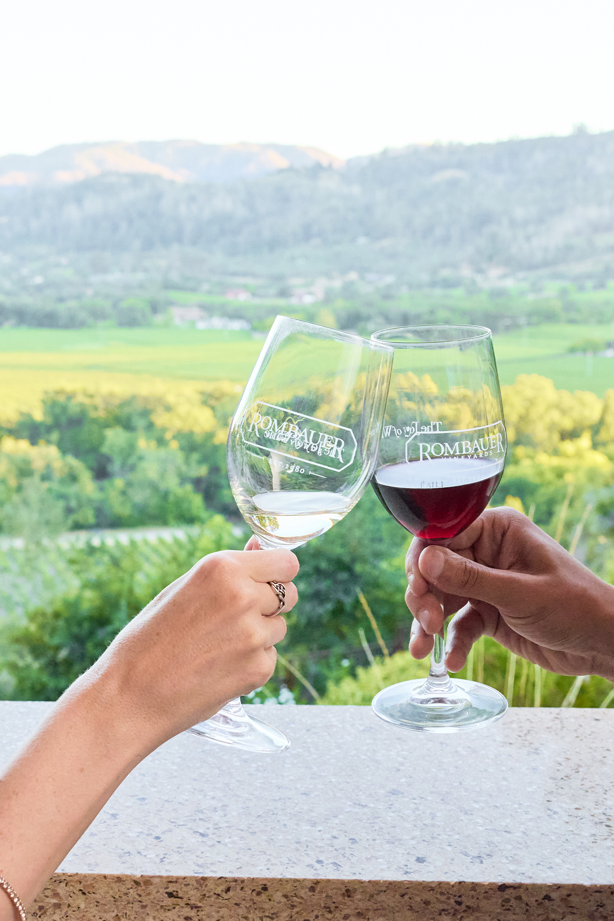 Cheers with Vineyard Views